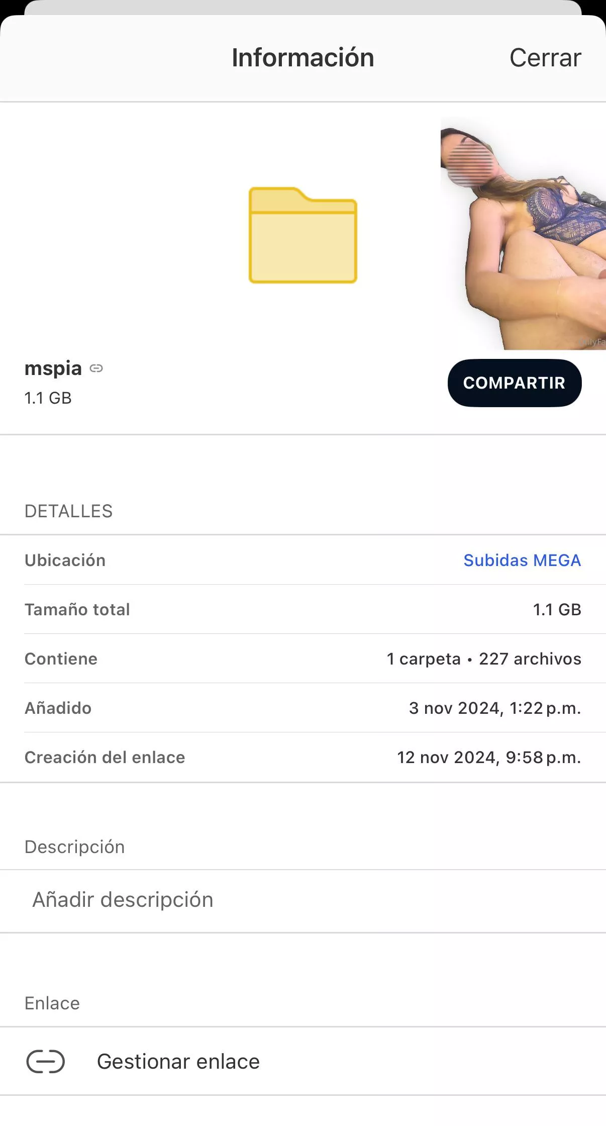 mspia