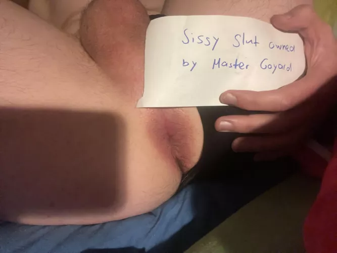 Owned by Master Goyard