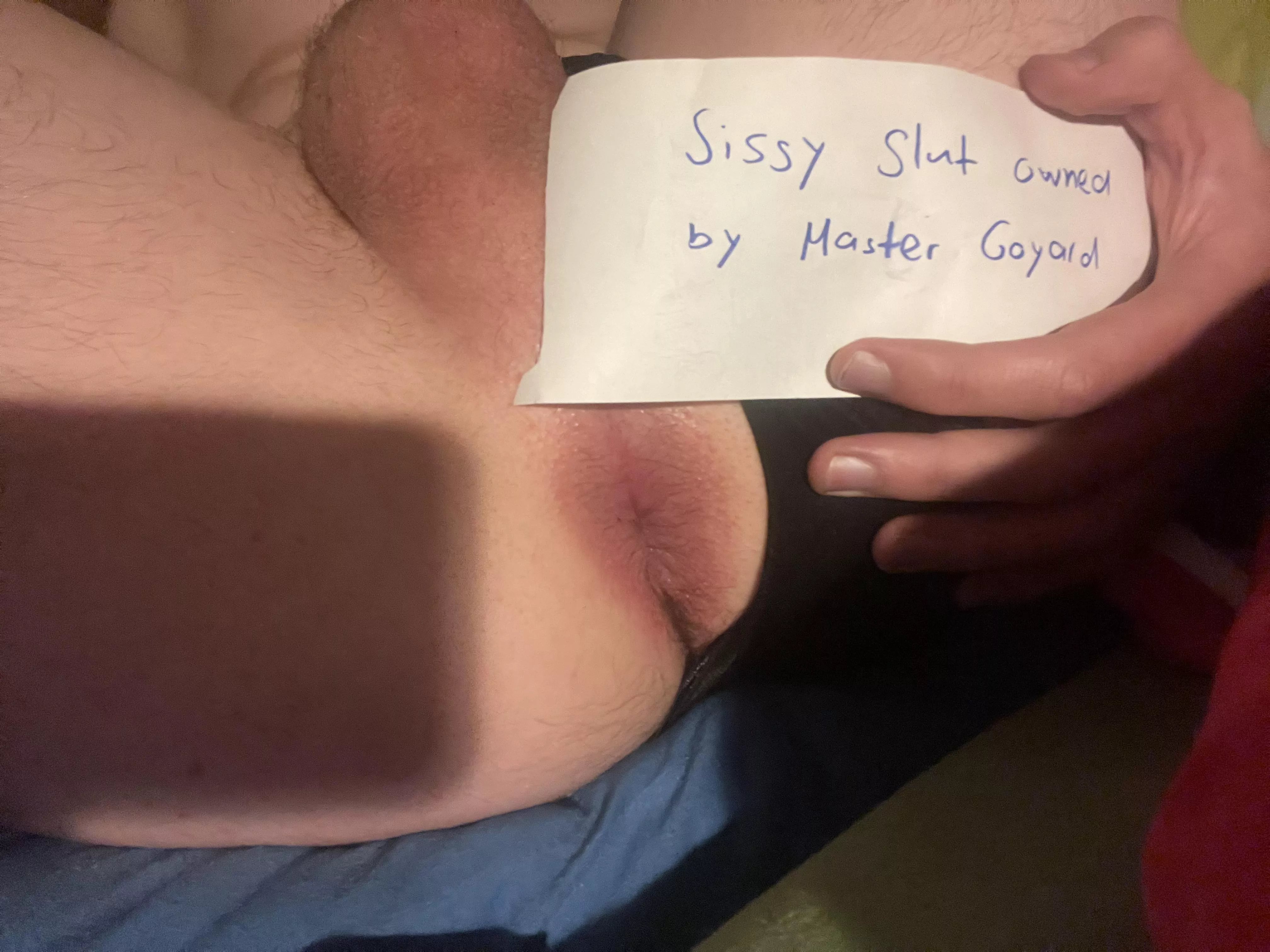 Owned by Master Goyard