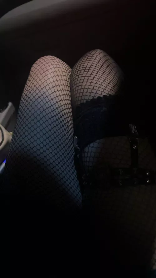 passenger princess is horny