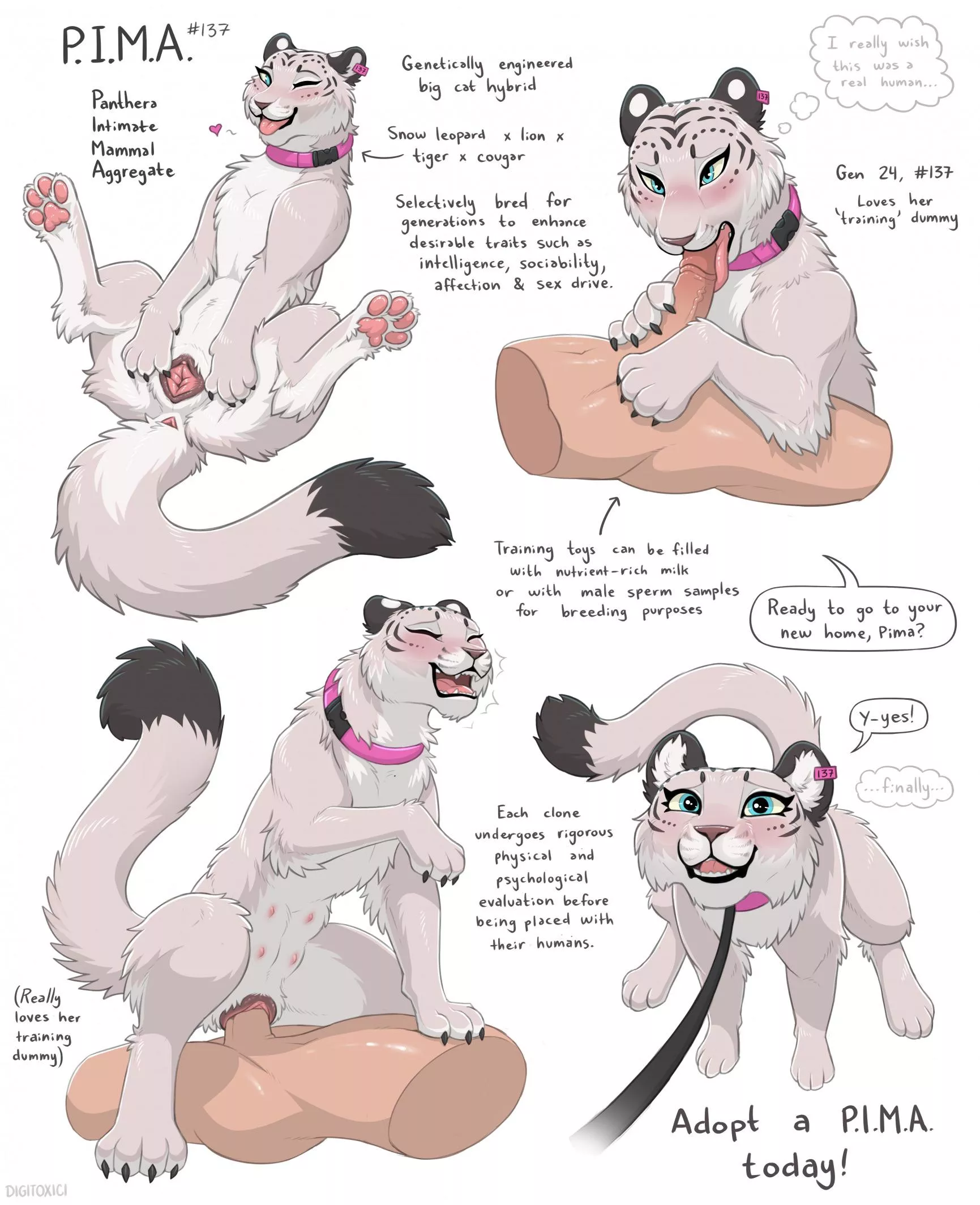 Pima! [F] (Digitoxici)