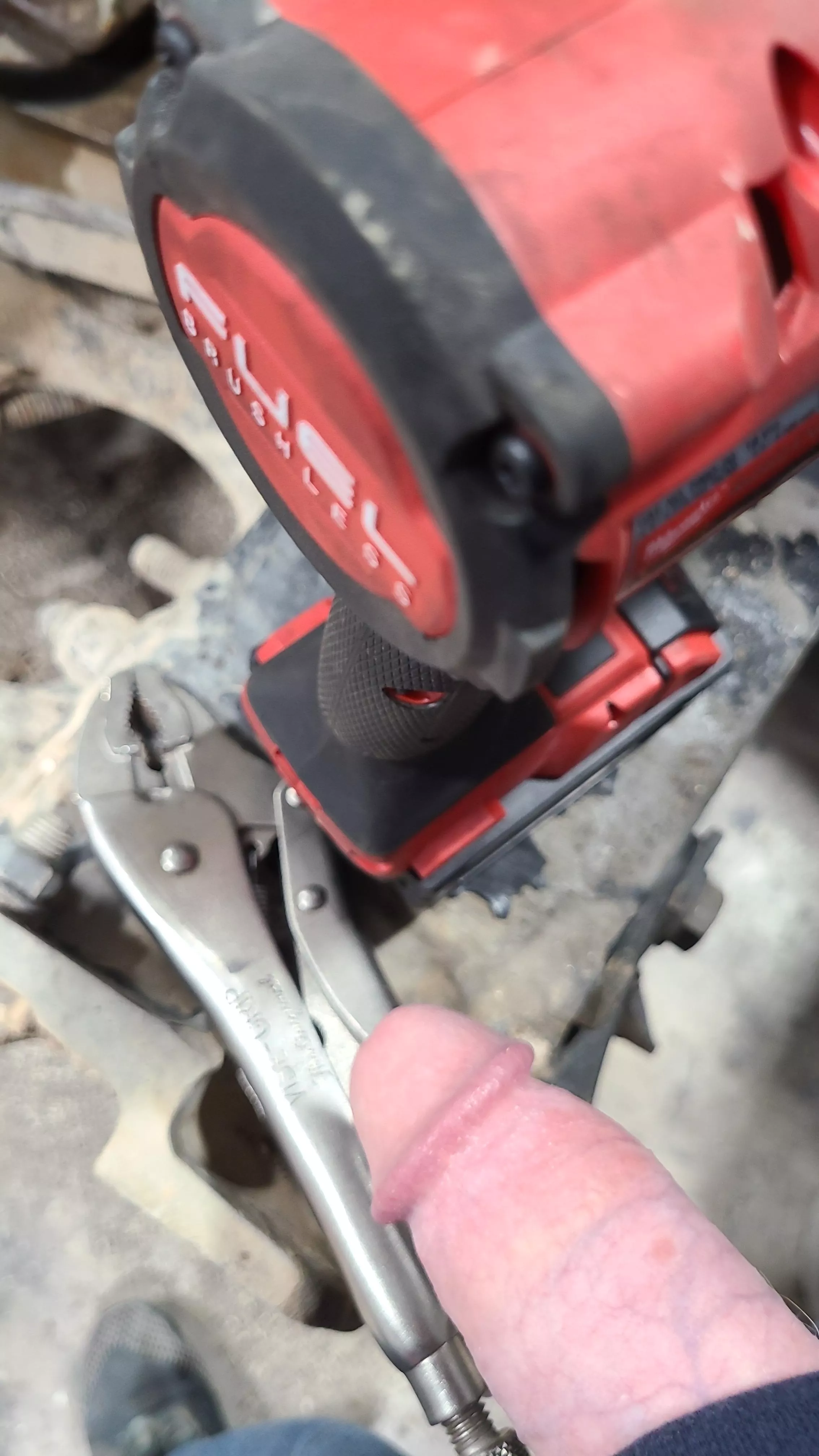 Should be working again. 