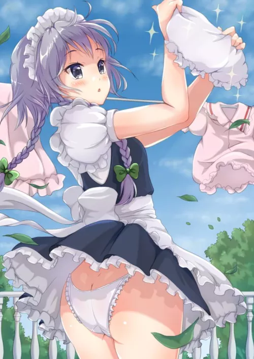 Spring Cleaning Maid