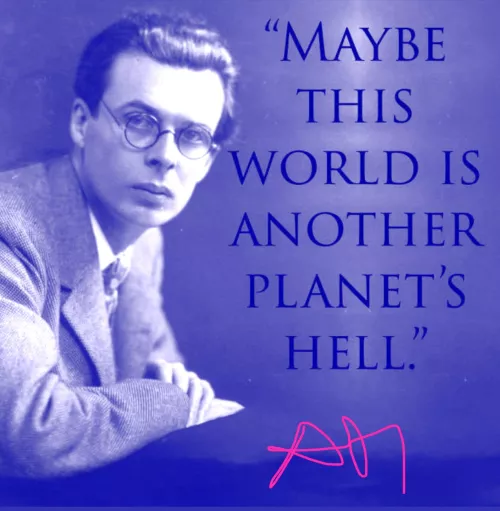 Thoughts on this…….???