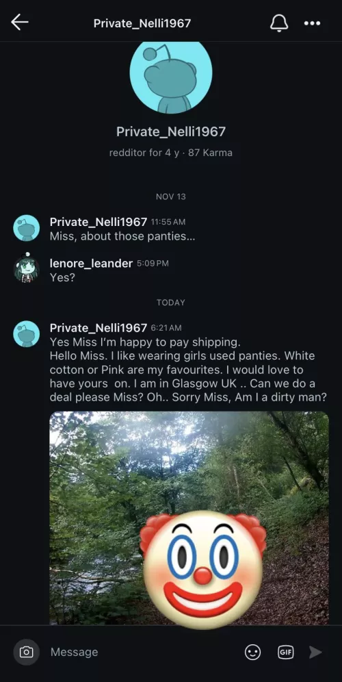 u/Private_Nelli1967 See how he first sent the unrelated msg about shipping so he could nest his lewds underneath it? Intentional & predatory