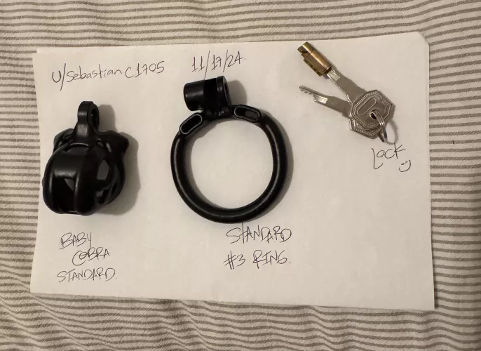 (US) baby cobra for sale