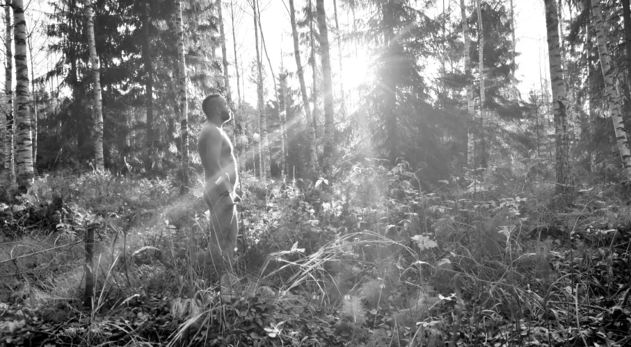 Walking in the woods