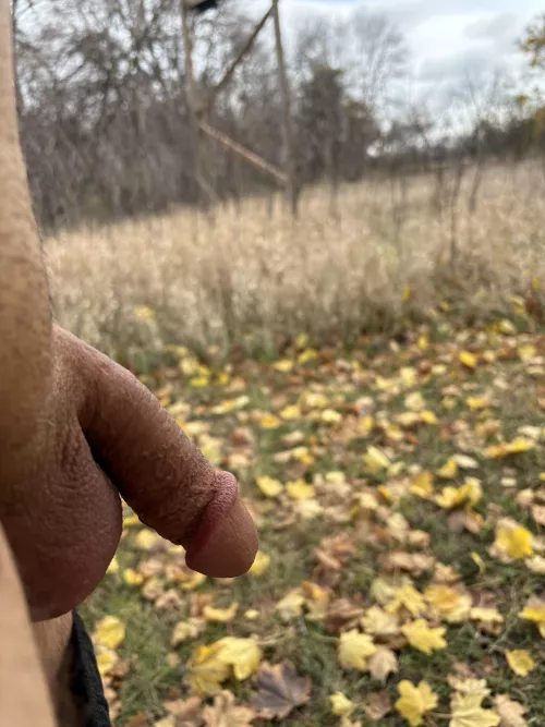 Walking on the trail.