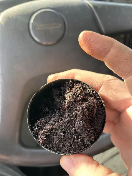 What’s the damage?