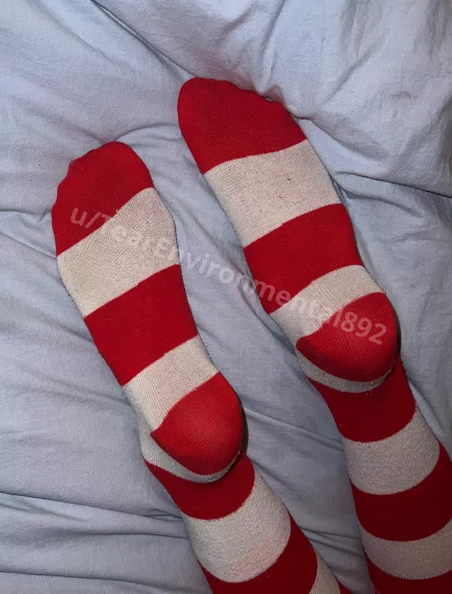 Would you have trouble spotting them in a crowd? 😏 [F]