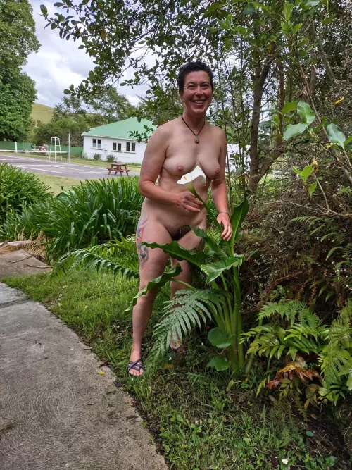 A beautiful flower at Rapere