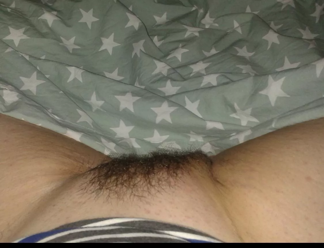 Come and take me! 😸