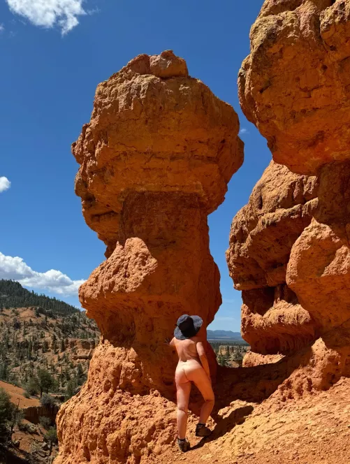 Dangerous curves ahead 