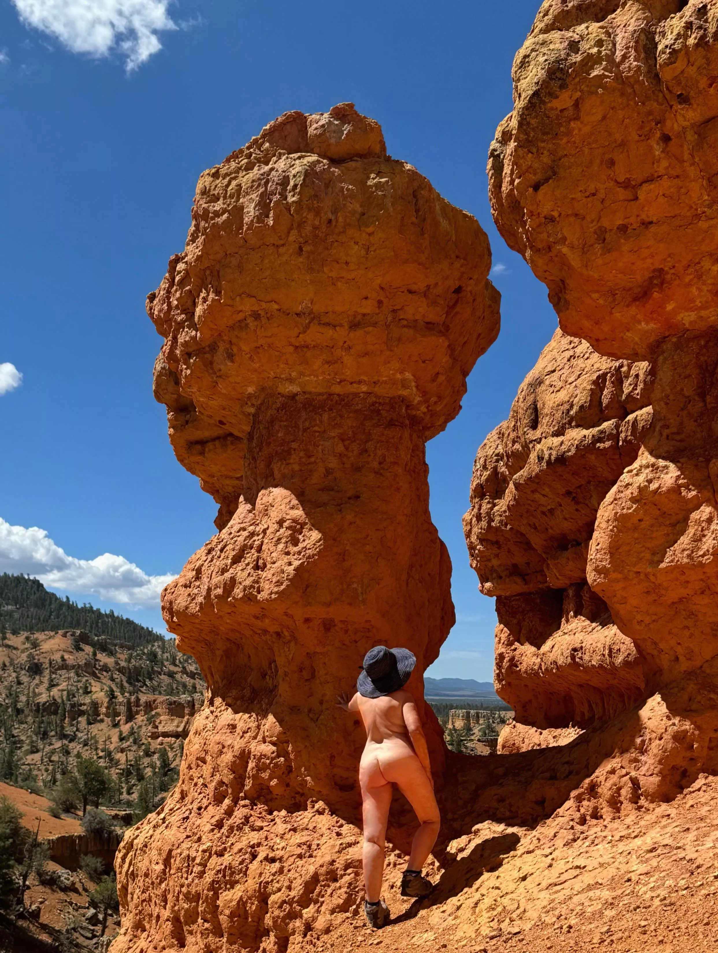 Dangerous curves ahead 