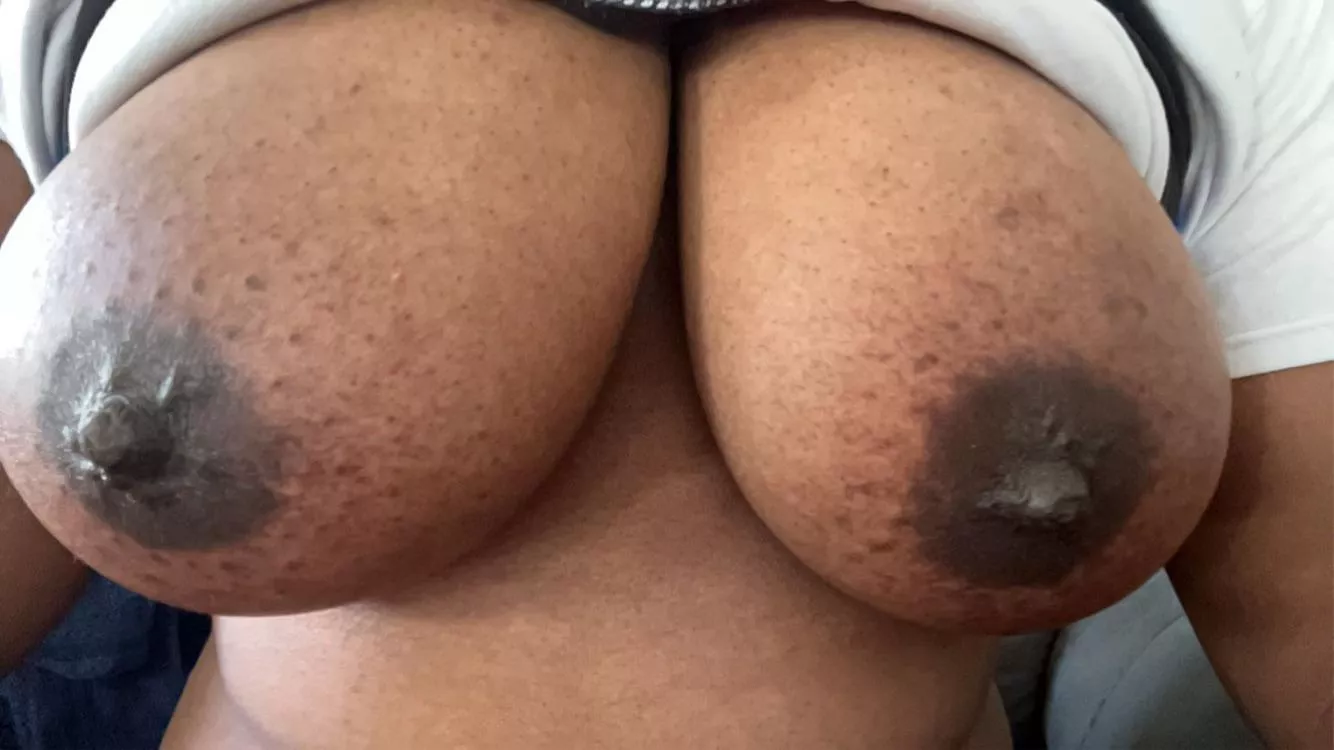 I need white cock NOWW 