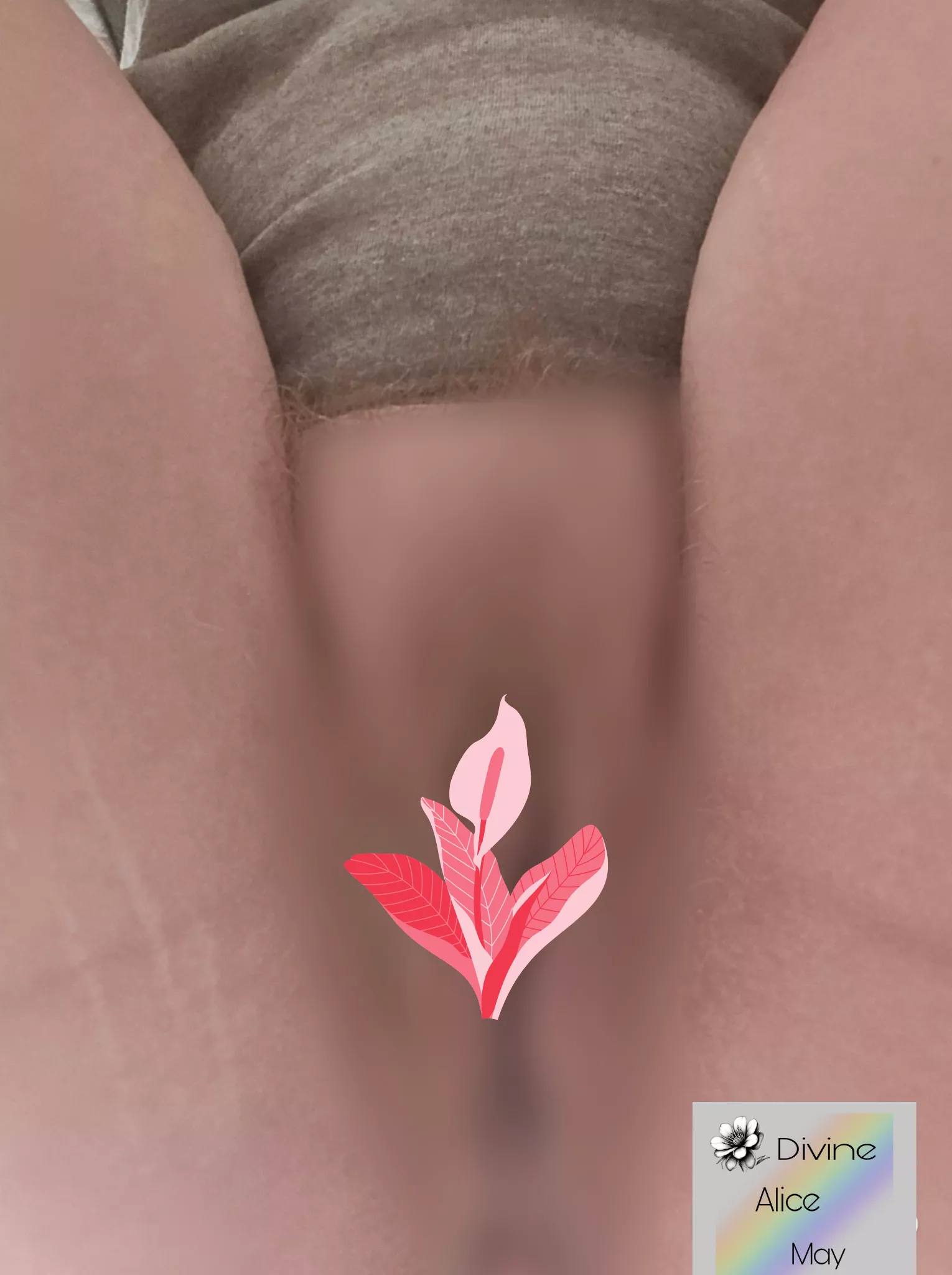 Just took some HOT face sitting pictures/videos... 🤭 Good pets will subscribe to My spicy pages to see them. 😈