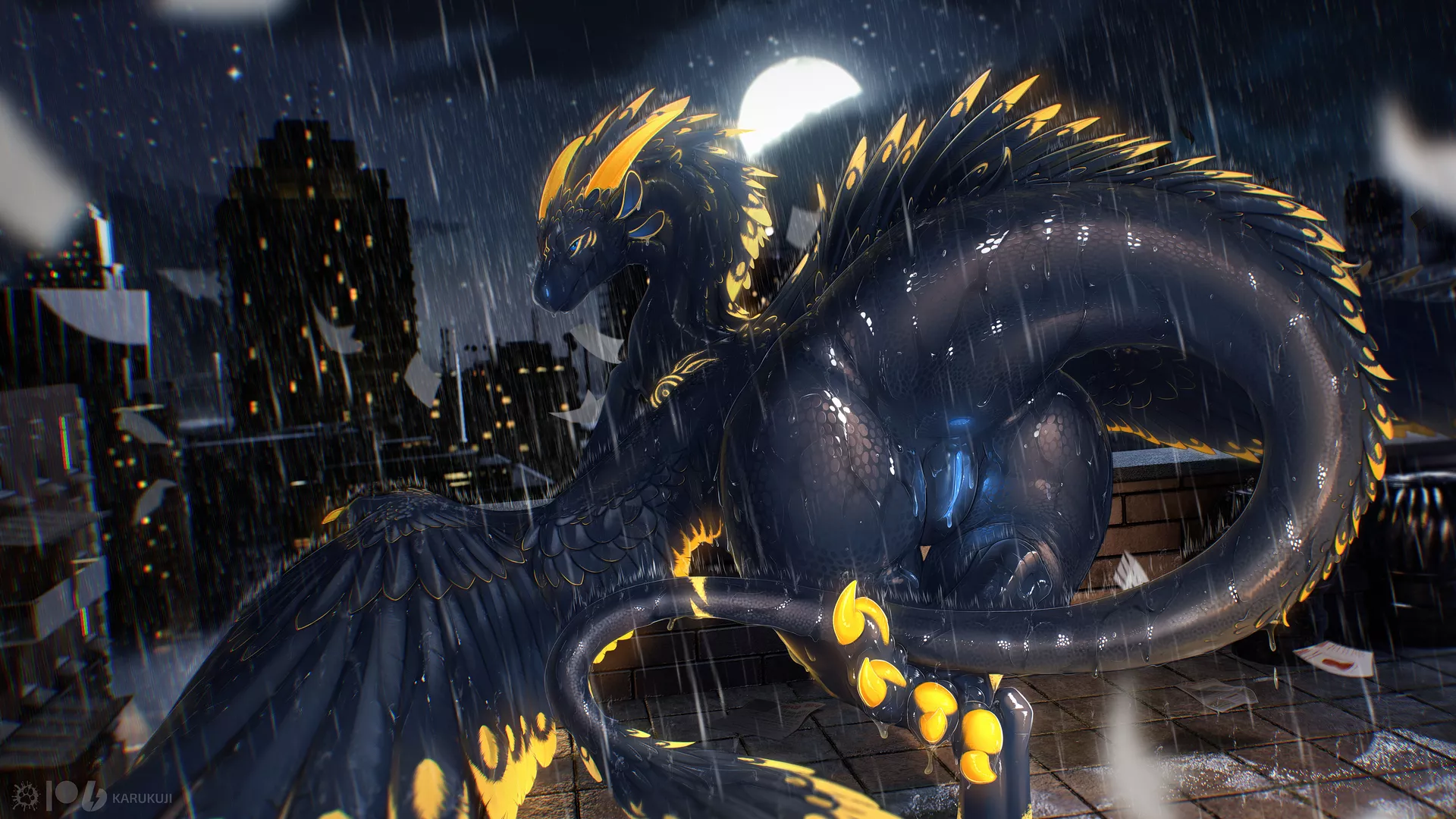 Meet me on the rooftop [F] (karukuji)