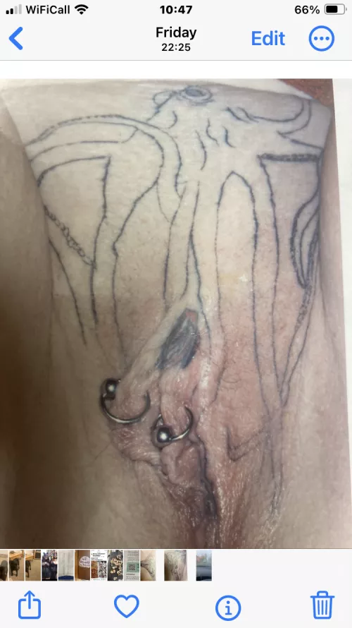  New pussy tattoo outline 1st session the cat hood took the time . It’s multicoloured to look like a chest with a white pearl underneath eventually 