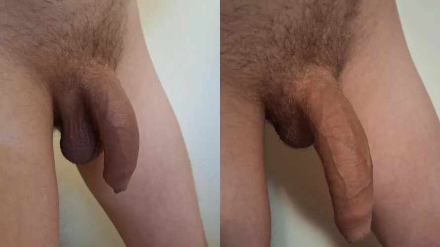 Soft & semi hard - See how it grows