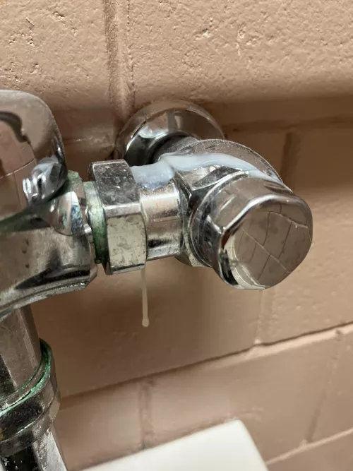 (18) left a sticky load in my highschool bathrooms