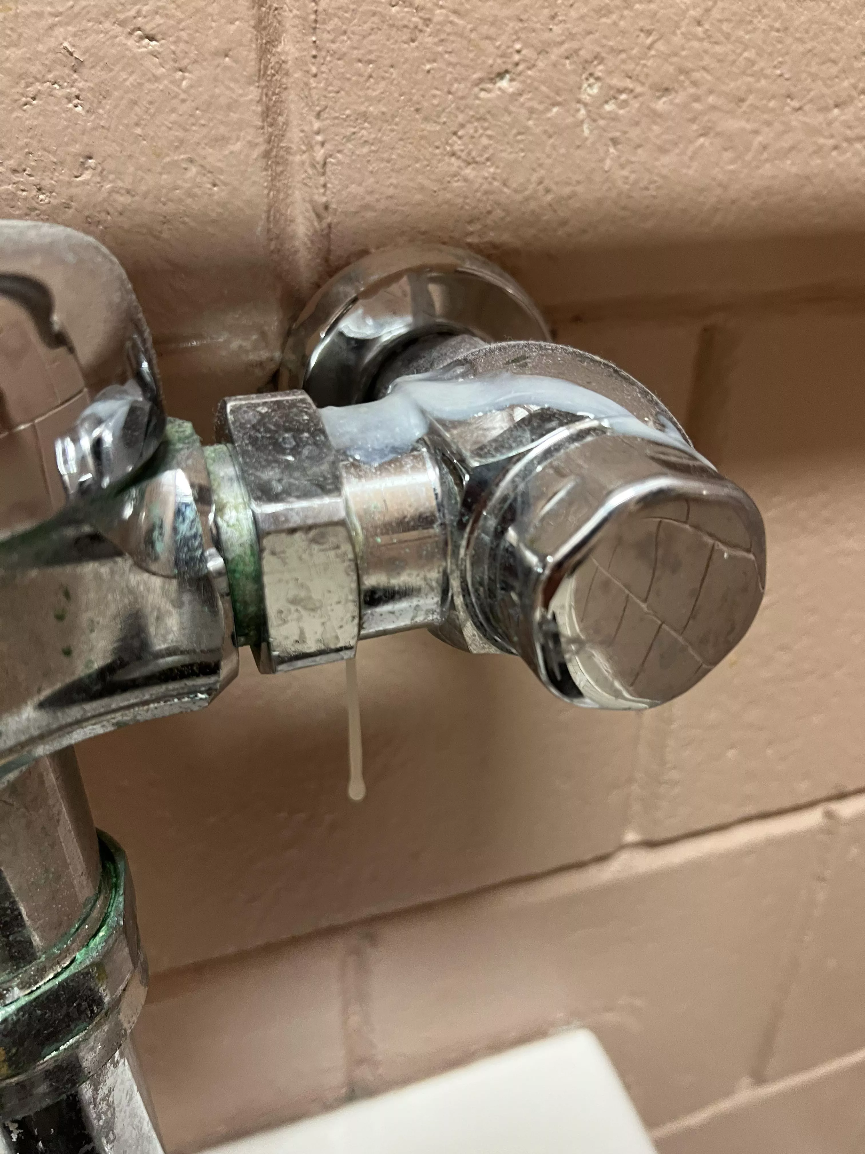 (18) left a sticky load in my highschool bathrooms