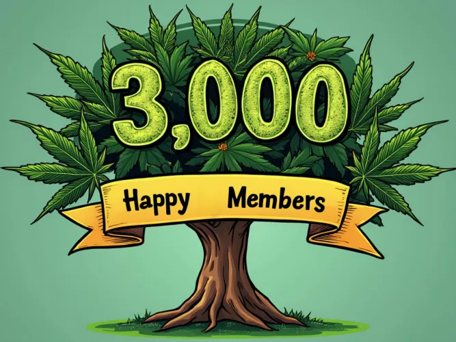 3000 Happy Members!!!