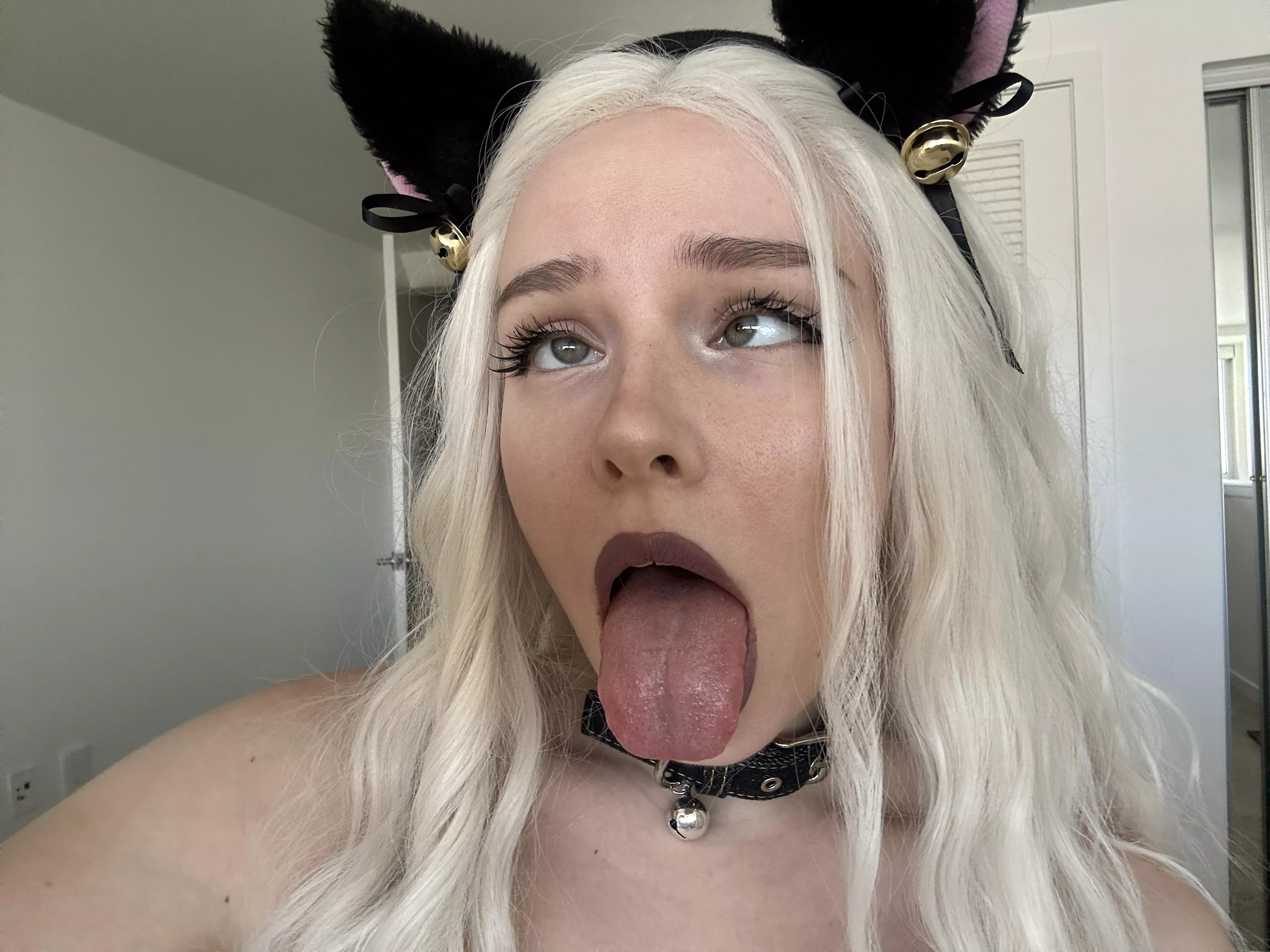 A cat on a collar. Could this be someone's fantasy here? 