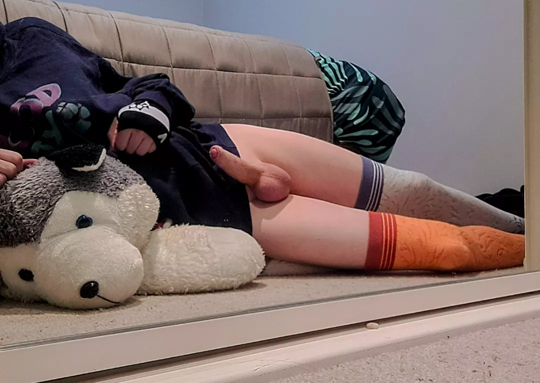 A Fox Having A Rest Day