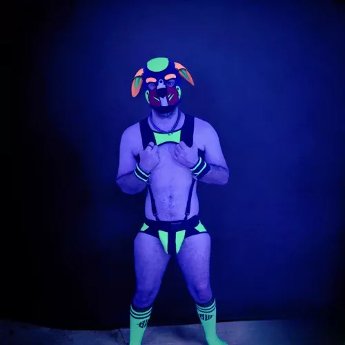 Absolutely love the outfit