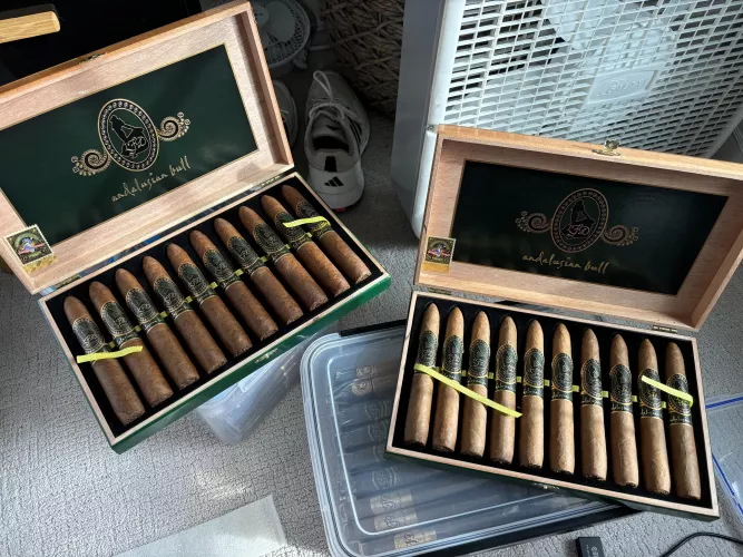 Andalusian Bull color difference