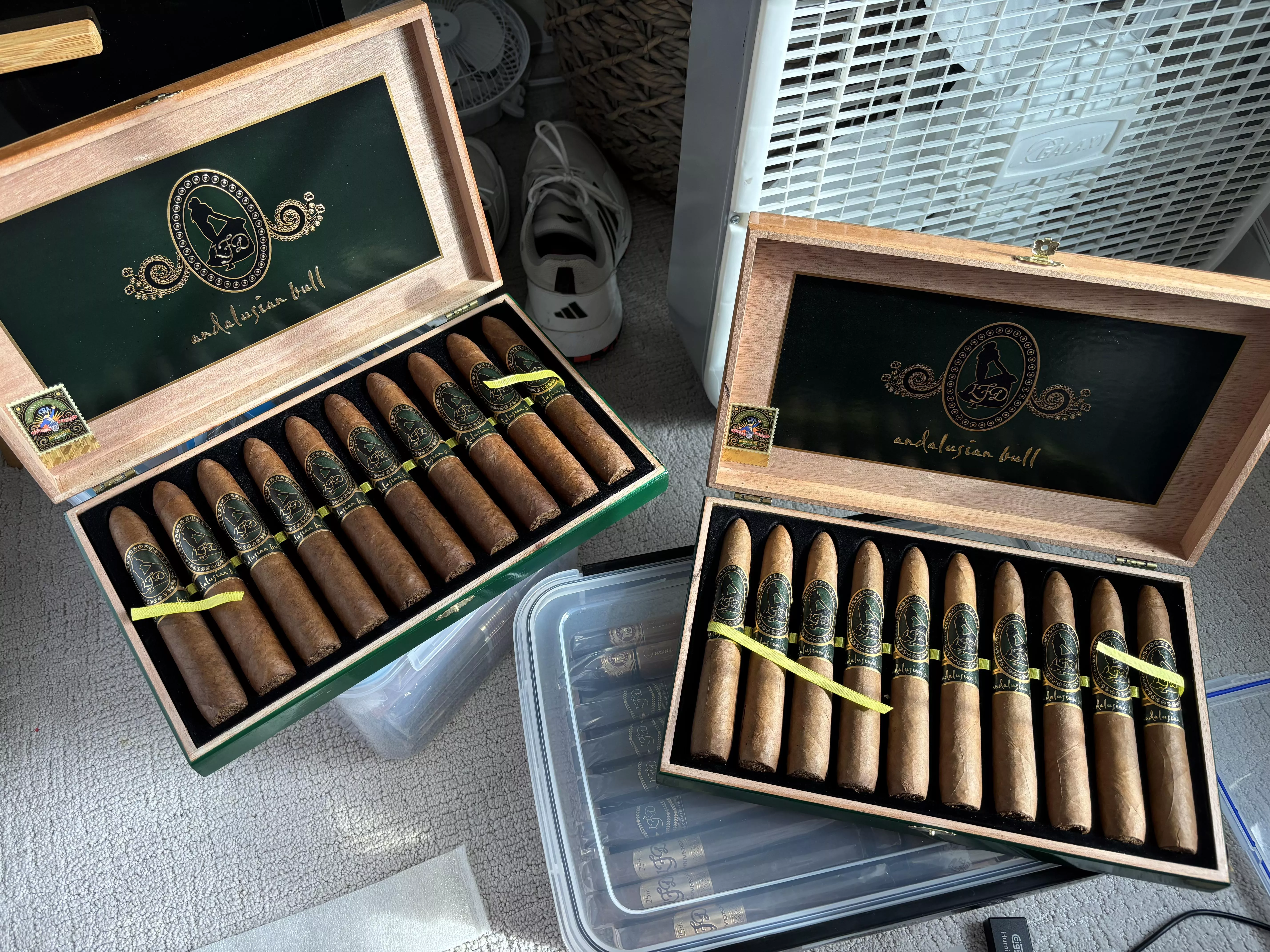 Andalusian Bull color difference