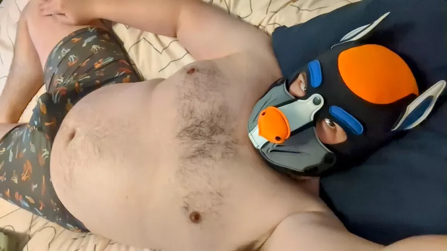 Aroo, come get some pup cuddles today! 