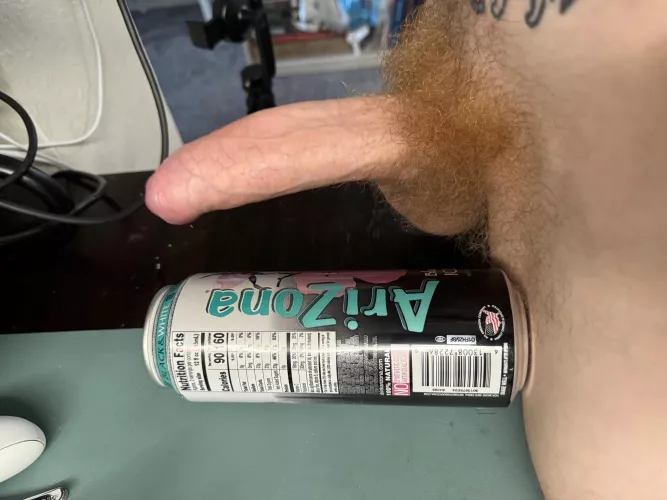 AZ native Fl transplant