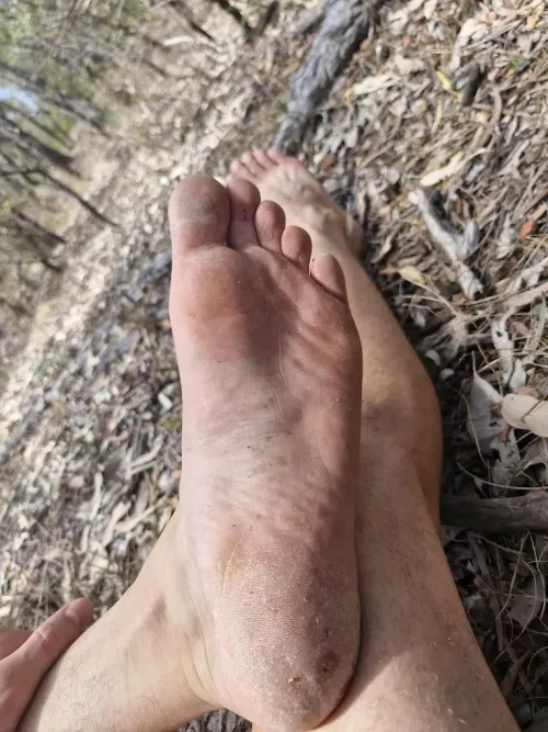barefoot in the woods
