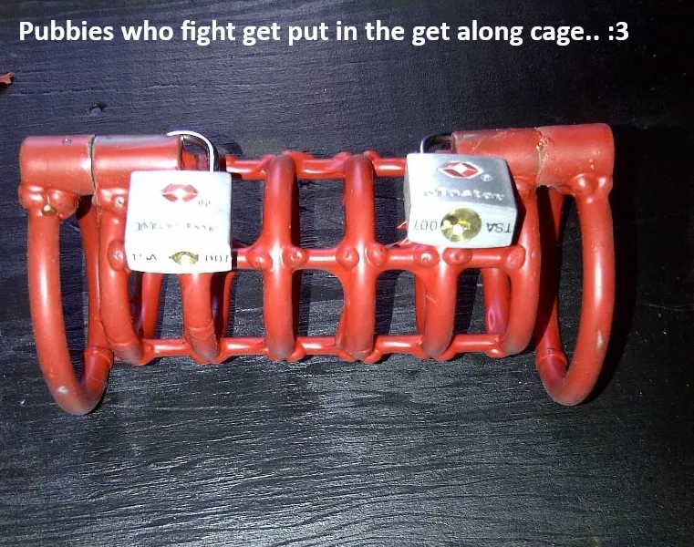 Behave yourselves, or else!