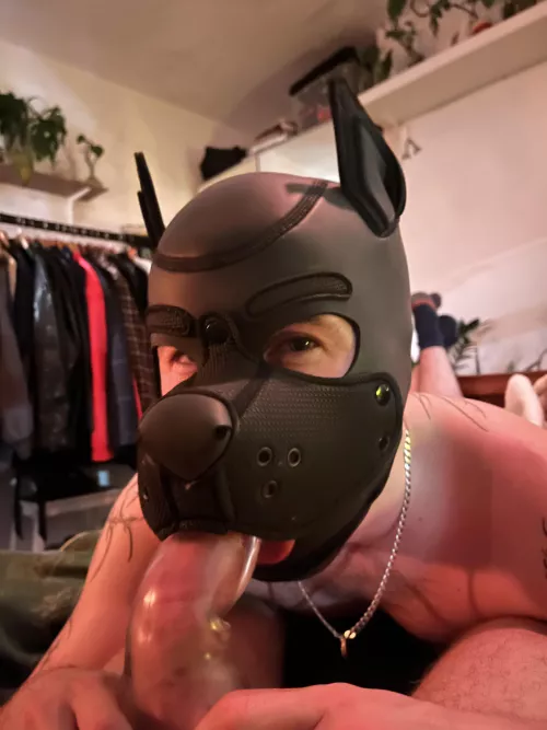 best way to wake up :3