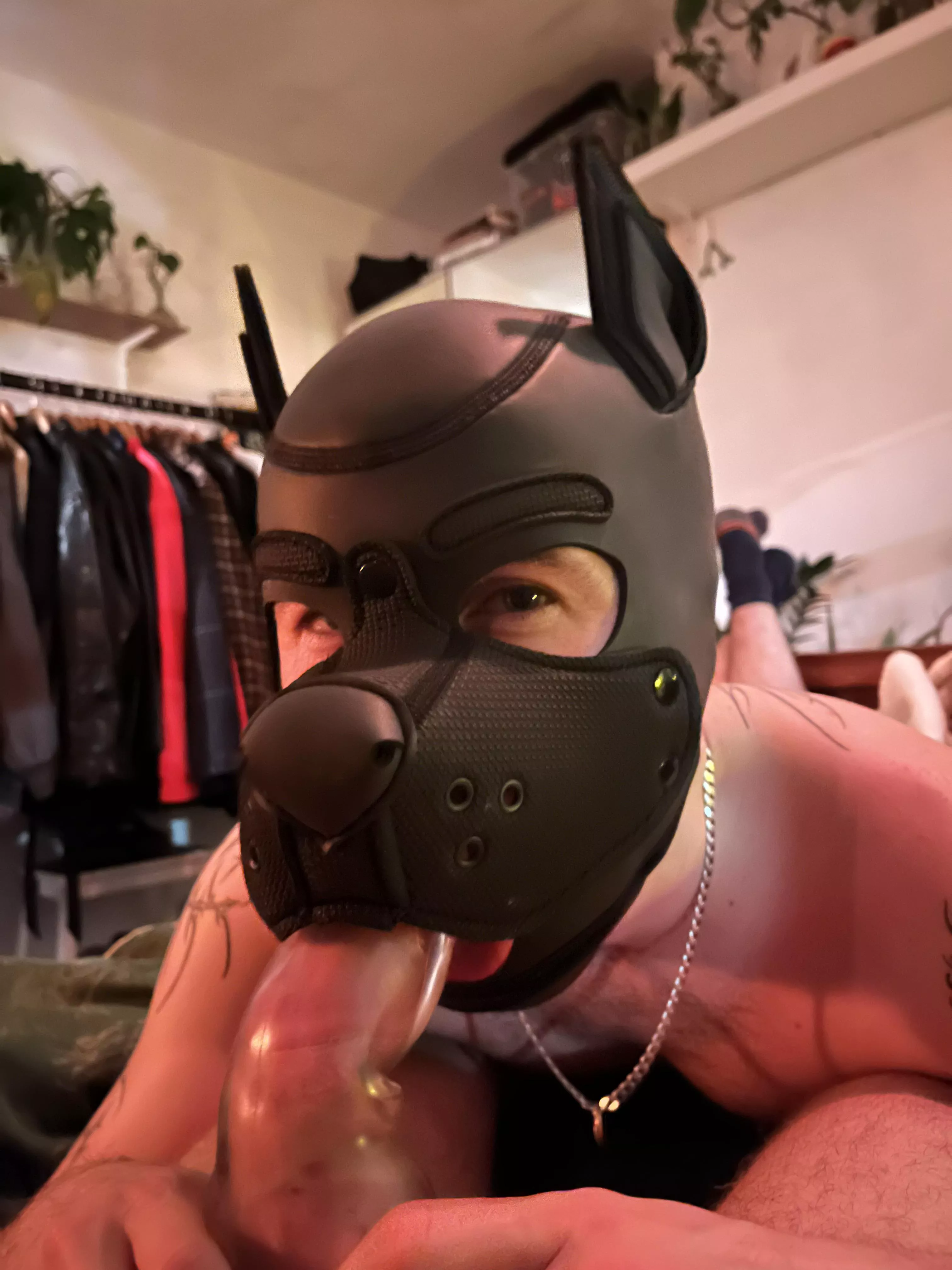 best way to wake up :3