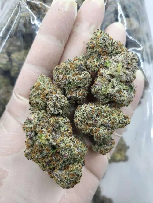 Canadian Death Bubba