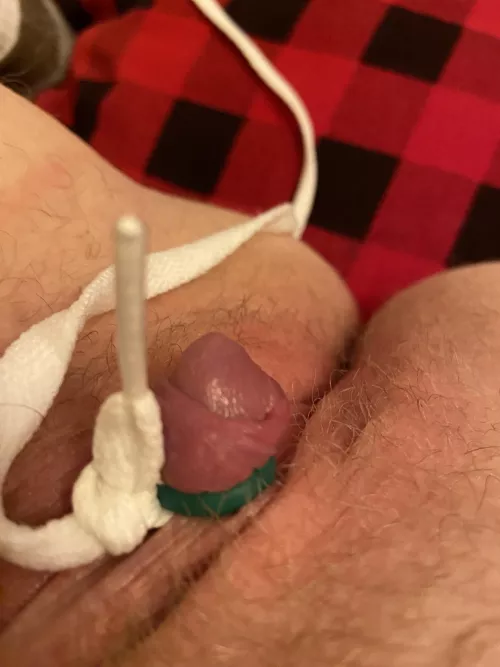 Castration Band on my clit round 2 