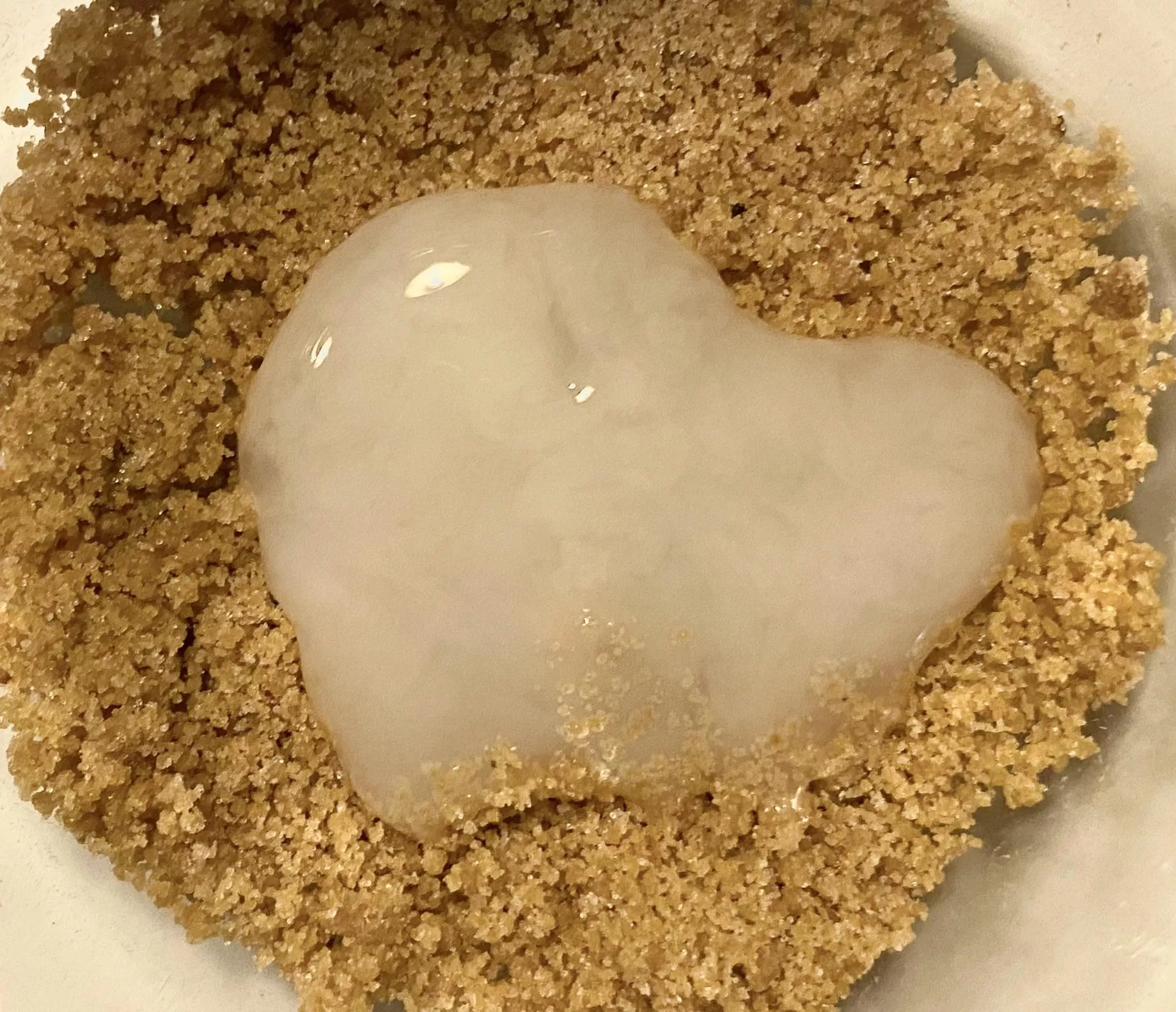 Graham cracker crust cumcake