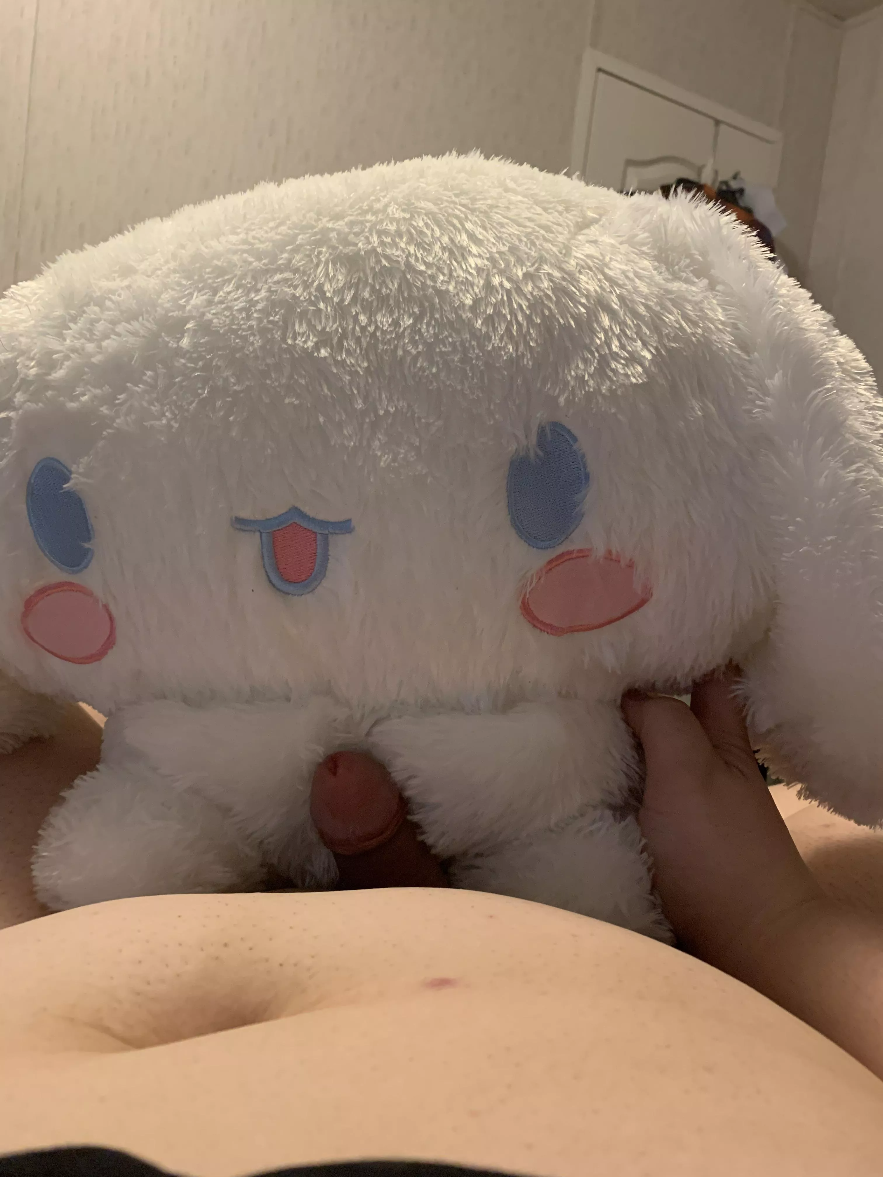 Hello from me and Cinnamonroll