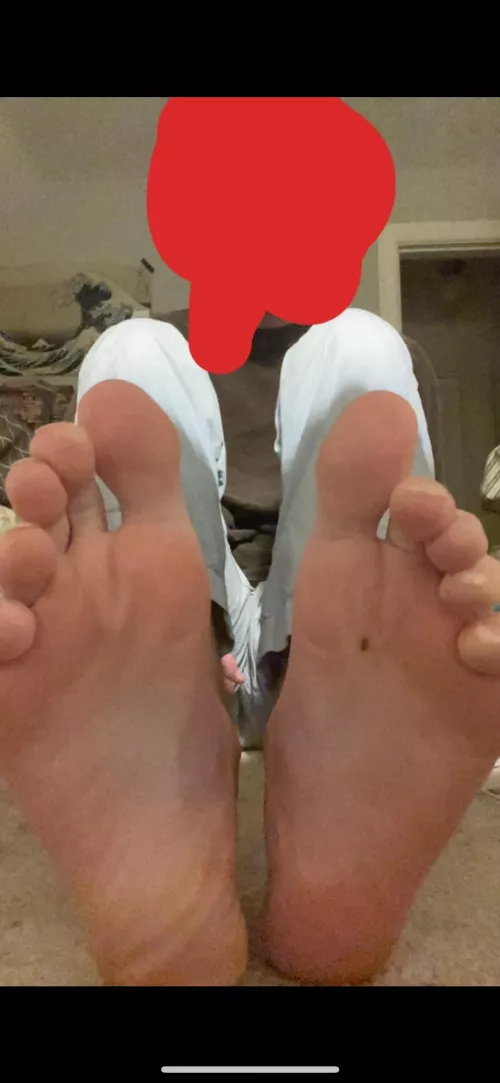 Hey there new guy here