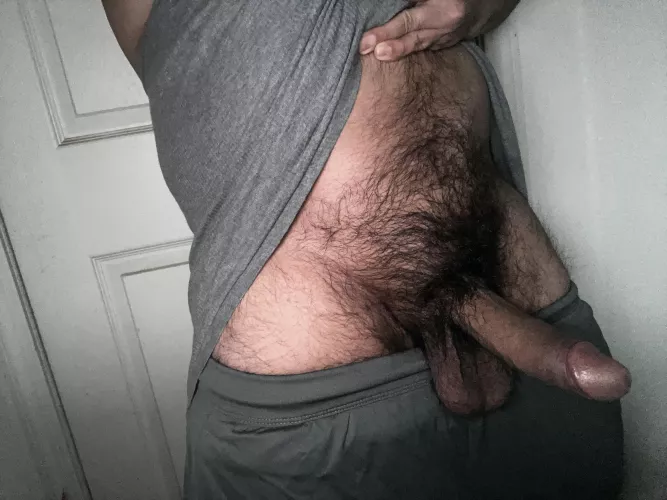 Hope you all enjoy my hairy cock 👀