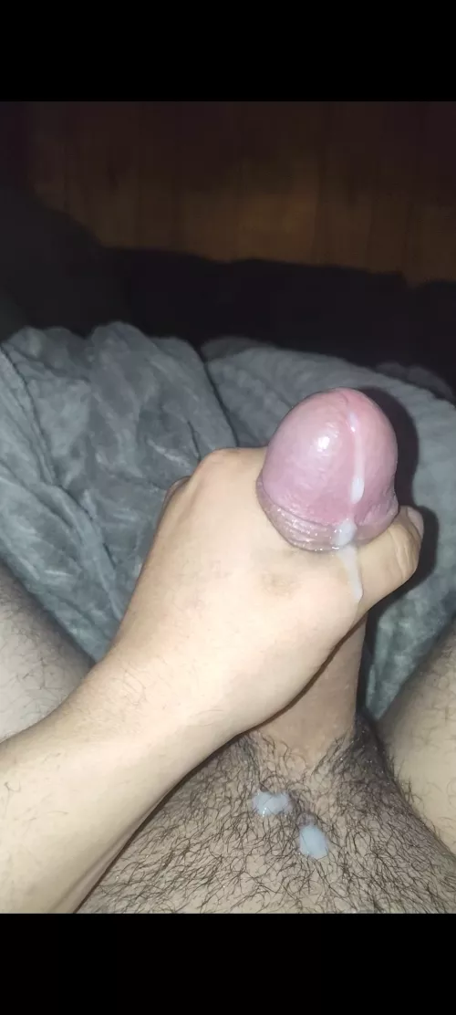 Horny bull for hot wife