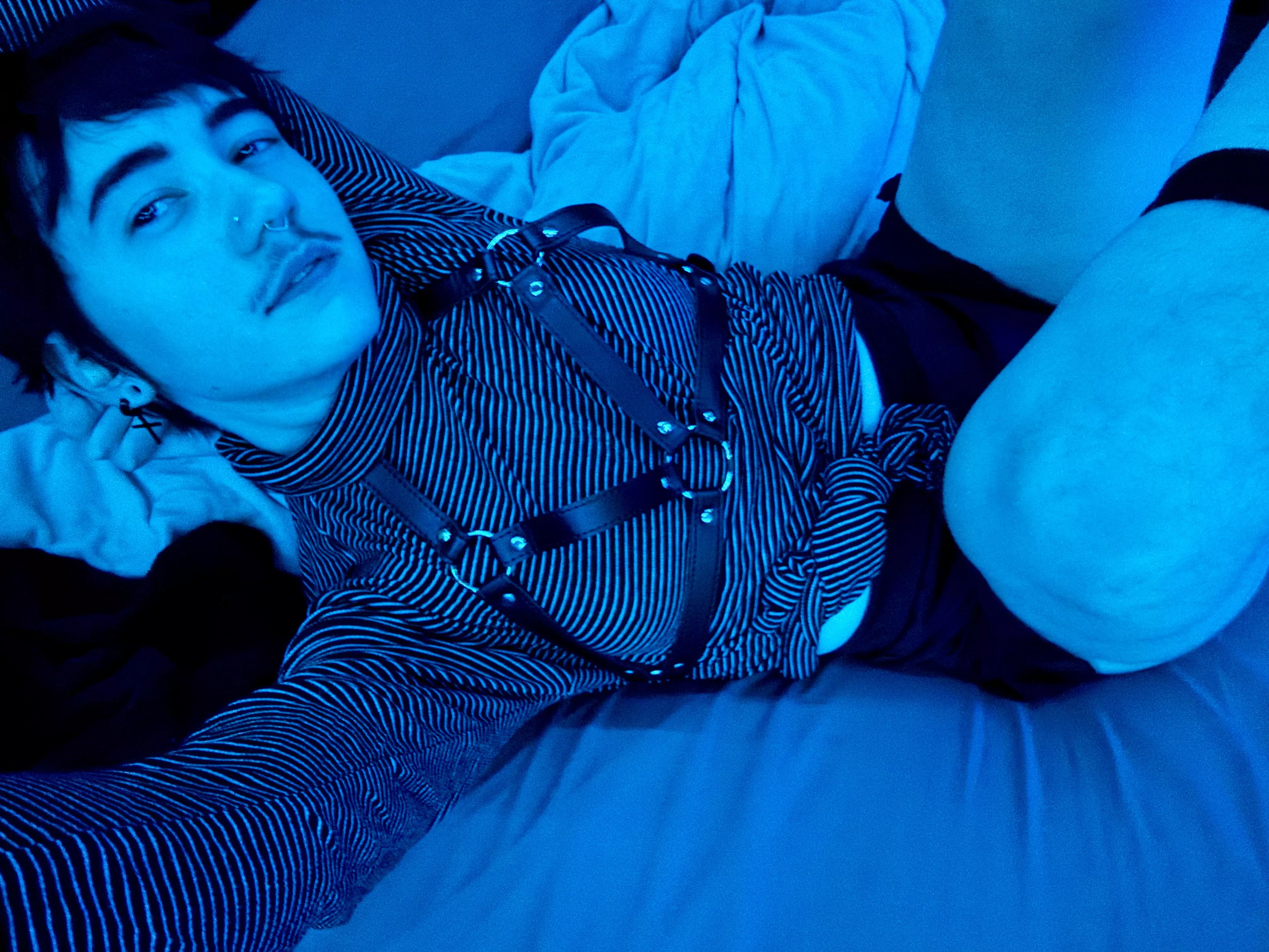 I wish I had a roommate
