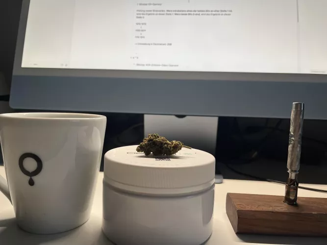 It‘a a pretty day to learn some JAVA 👨‍🎓