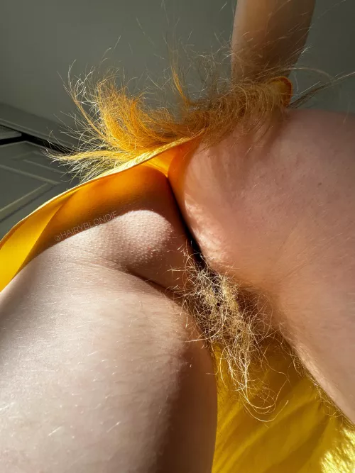 It’s fun to be a hairy woman that goes commando 