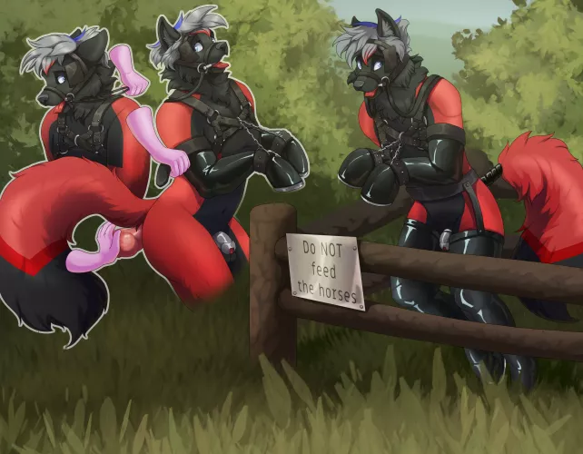 Kayden in the coral (Art by CrazyDonkey) 