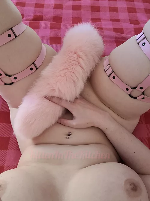 Kitten really wants to play today