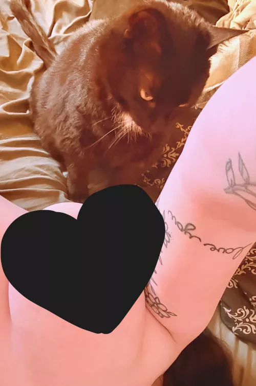 Kitty and a Titty 👀